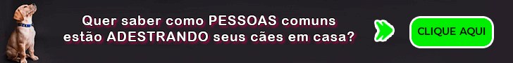 banner do ebook adestramento canino em casa
